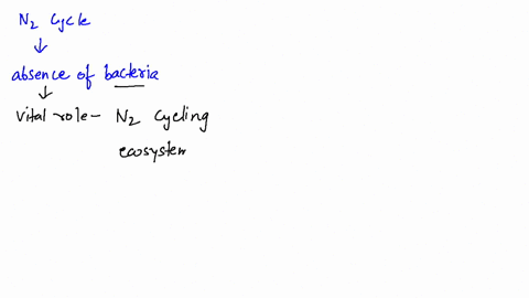 how-would-the-nitrogen-cycle-operate-in-the-absence-of-bacteria-and-archaeons