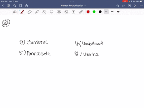 the-placenta-is-connected-to-embryo-through-cord-a-chorionic-b-umbilical-c-amniocentic-d-uterine