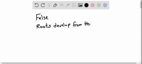 ⏩SOLVED:True or false? Lateral roots form at nodes on roots. | Numerade
