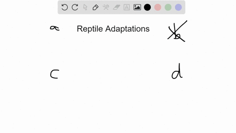 adaptations-in-reptiles-did-not-include-a-an-amniotic-egg-b-a-layer-of-scales-on-the-skin-c-middle-e