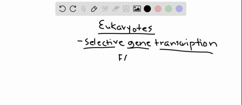 which-statement-about-selective-gene-transcription-in-eukaryotes-is-not-true-a-different-classes-of-