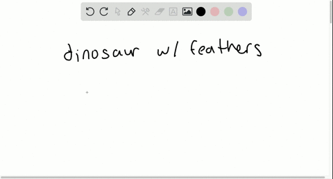 a-bird-or-feathered-dinosaur-is-a-neornithes-b-archaeopteryx-c-enantiornithes-d-paleognathae
