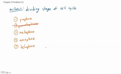 describe-the-events-that-occur-in-telophase