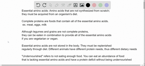 which-statement-about-essential-amino-acids-is-true-a-they-are-not-found-in-vegetarian-diets-b-the-3
