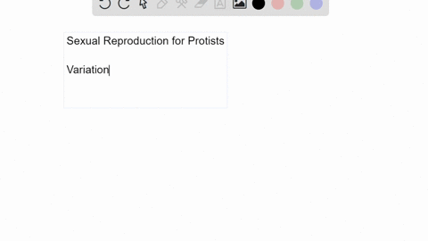 explain-in-your-own-words-why-sexual-reproduction-can-be-useful-if-a-protists-environment-changes