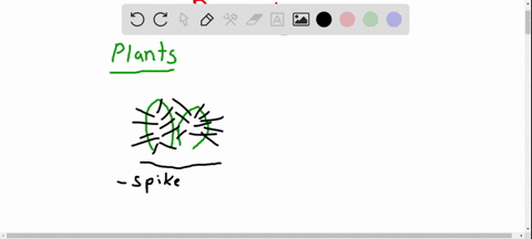 list-some-adaptations-of-desert-cactus-plants-and-desert-animals-to-heat-and-drought