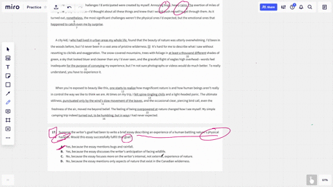 suppose-the-writer-s-goal-had-been-to-write-a-brief-essay-describing-an-experience-of-a-human-bat