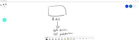 the-ras-protein-functions-as-a-molecular-switch-that-is-set-to-its-on-state-by-other-proteins-that-3
