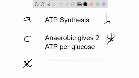 most-of-the-atp-produced-during-cell-respiration-is-a-by-product-of-a-glycolysis-b-citric-acid-cycle
