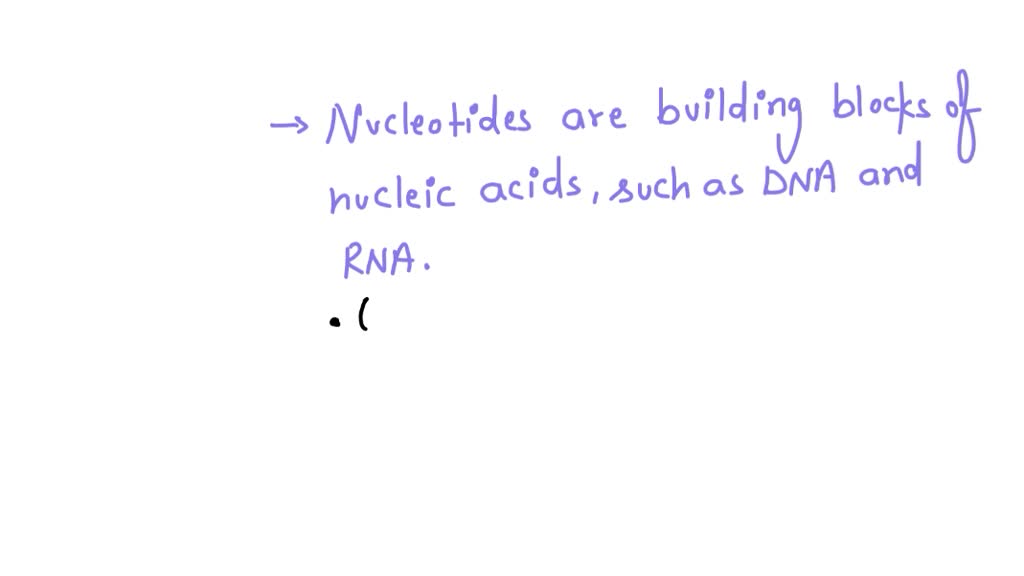 SOLVED:What is a G-quadruplex? What roles may it play in biology?