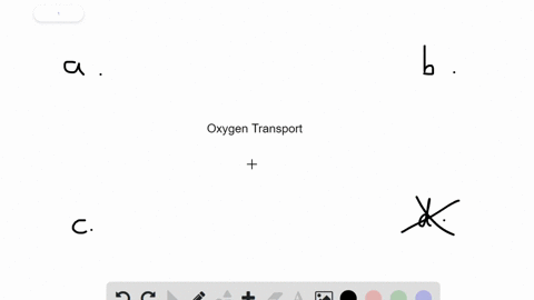 most-oxygen-travels-from-the-lungs-to-the-body-tissues-__________-a-bound-to-hemoglobin-b-combined-w