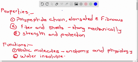 what-are-the-properties-and-key-functions-of-fibrous-proteins
