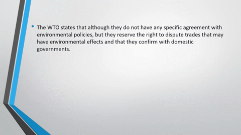 what-is-the-main-critique-against-the-mathrmwto-with-respect-to-environmental-protection-how-does-th