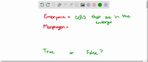 embryonic-cells-can-learn-their-position-by-reading-the-concentration-of-a-morphogen-a-true-b-false
