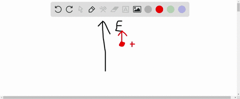 an-electron-and-a-proton-are-released-in-a-region-of-space-where-the-electric-field-is-vertically-up