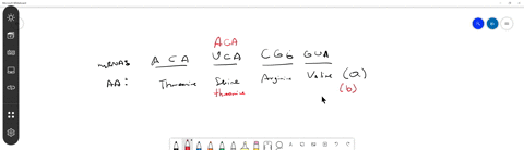 consider-the-following-segment-of-mrna-produced-by-the-normal-order-of-dna-nucleotides-aca-uca-cgg-g