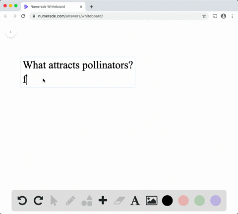 match-questions-3-8-with-options-a-f-attracts-pollinator-a-pollen-grain-b-ovule-c-anther-d-ovary-e-s