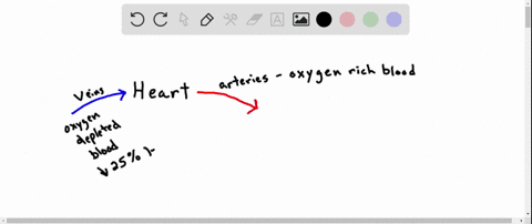which-of-the-following-statements-is-not-true-a-only-arteries-carry-oxygenated-blood-b-both-arteries