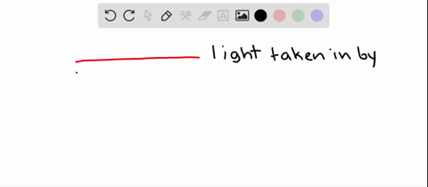 chlorophyll-a-appears-green-because-it-absorbs-mainly-______-light-a-violet-and-red-b-green-c-yellow