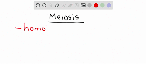 in-meiosis-a-meiosis-ii-reduces-the-chromosome-number-from-diploid-to-haploid-b-dna-replicates-bet-2