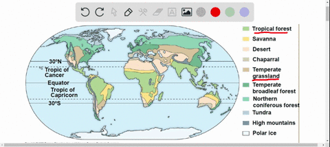 choose-from-the-names-of-the-biomes-below-a-tropical-rain-forest-b-taiga-c-temperate-grasslands-d--8