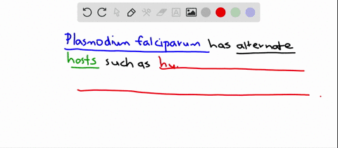 what-are-the-alternate-hosts-of-the-malarial-parasite-plasmodium-falciparum-a-humans-or-great-apes-a