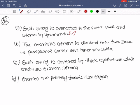 find-out-the-incorrect-statement-about-ovaries-a-each-ovary-is-connected-to-the-pelvic-wall-and-uter