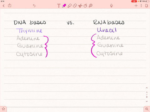 which-of-the-following-substances-is-found-in-rna-molecules-but-not-in-dna-molecules-a-adenine-b-pho