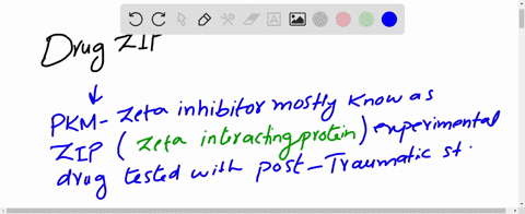 chemical-connections-22-mathrmb-explain-how-researchers-used-the-drug-zip-to-test-its-effect-on-long