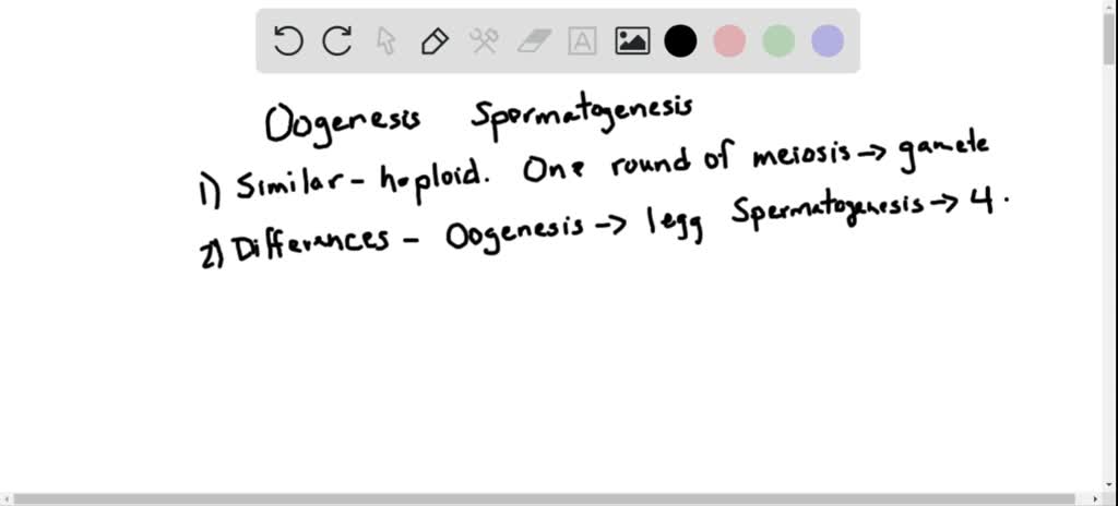 SOLVED:How are the events that take place in spermatogenesis and ...