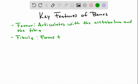 use-key-choices-to-identify-the-bone-descriptions-that-follow-key-a-carpals-b-femur-c-fibula-d-humer