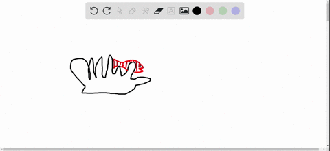 which-of-the-following-is-an-example-of-commensalism-a-a-tapeworm-living-in-the-gut-of-its-host-b-a-
