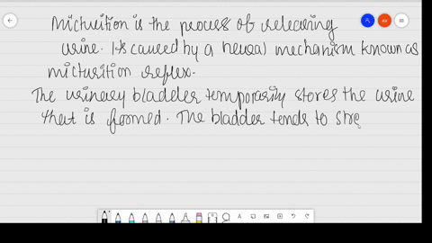 explain-micturition