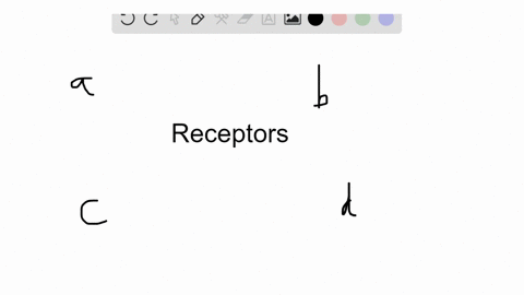 these-receptors-detect-stimuli-within-the-body-a-interoceptors-b-exteroceptors-c-homeoreceptors-d--2
