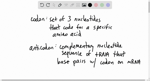 a-if-a-codon-is-gcu-what-is-the-anticodon-b-for-which-amino-acid-does-this-codon-code-3