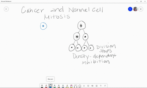 one-difference-between-cancer-cells-and-normal-cells-is-that-cancer-cells-a-are-unable-to-synthesi-2