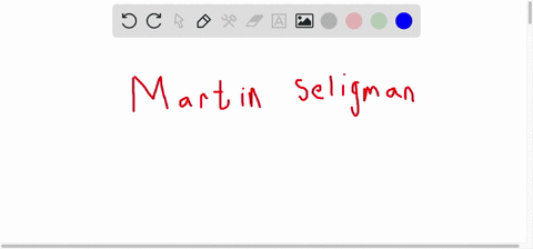 martin-seligman-and-other-researchers-who-explore-various-aspects-of-human-flourishing-refer-to-thei