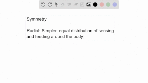 what-are-the-relative-advantages-and-disadvantages-of-radially-symmetrical-and-bilaterally-symmetric