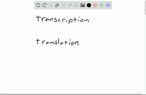 transcription-produces-_______-while-translation-produces-_______-a-dna-rna-b-rna-polypeptides-c-pol