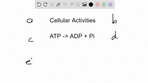 all-of-the-following-cellular-activities-require-energy-except-a-facilitated-transport-b-active-tran