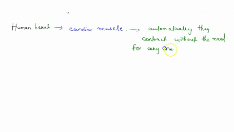 the-problem-of-electrical-discontinuity-caused-in-the-normal-heart-by-the-connective-tissue-separati