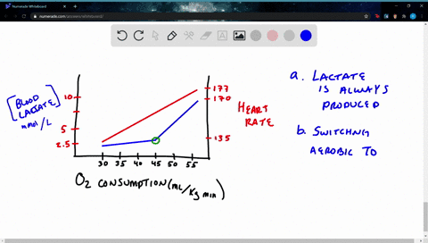 lactate-threshold-the-graph-shows-the-relation-between-blood-lactate-levels-oxygen-consumption-and-h