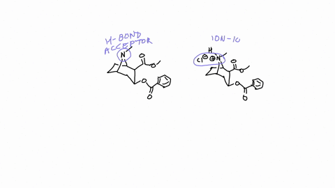 cocaine-is-a-widely-abused-addicting-drug-cocaine-is-usually-obtained-as-its-hydrochloride-salt-co-2