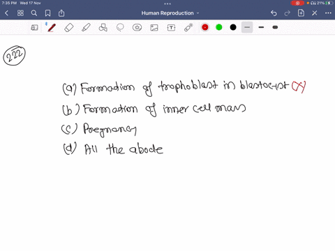 implantation-leads-to-a-formation-of-trophoblast-in-blastocyst-b-formation-of-inner-cell-mass-in-bla