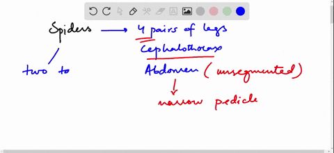spiders-are-characterized-by-a-mandibles-and-maxillae-b-six-pairs-of-legs-on-the-abdomen-c-one-pair-