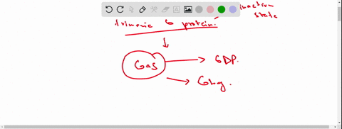 signal-transducing-trimeric-g-proteins-consist-of-three-subunits-designated-alpha-beta-and-gamma-the