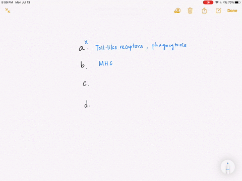 cells-that-can-directly-attack-target-cells-include-all-of-the-following-except-a-macrophages-b-cyto