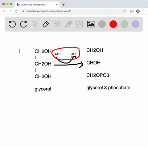 show-the-mechanism-for-the-reaction-of-glycerol-with-atp-to-form-glycerol-3-phosphate-2