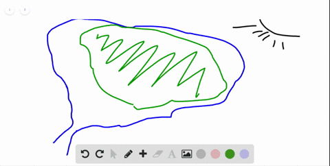 if-algae-grows-out-of-proportion-as-seen-during-algal-blooms-how-does-it-affect-the-ecosystem-a-phot