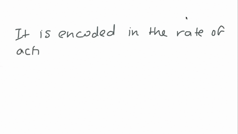 how-do-the-senses-encode-the-intensity-of-a-stimulus-the-type-of-stimulus